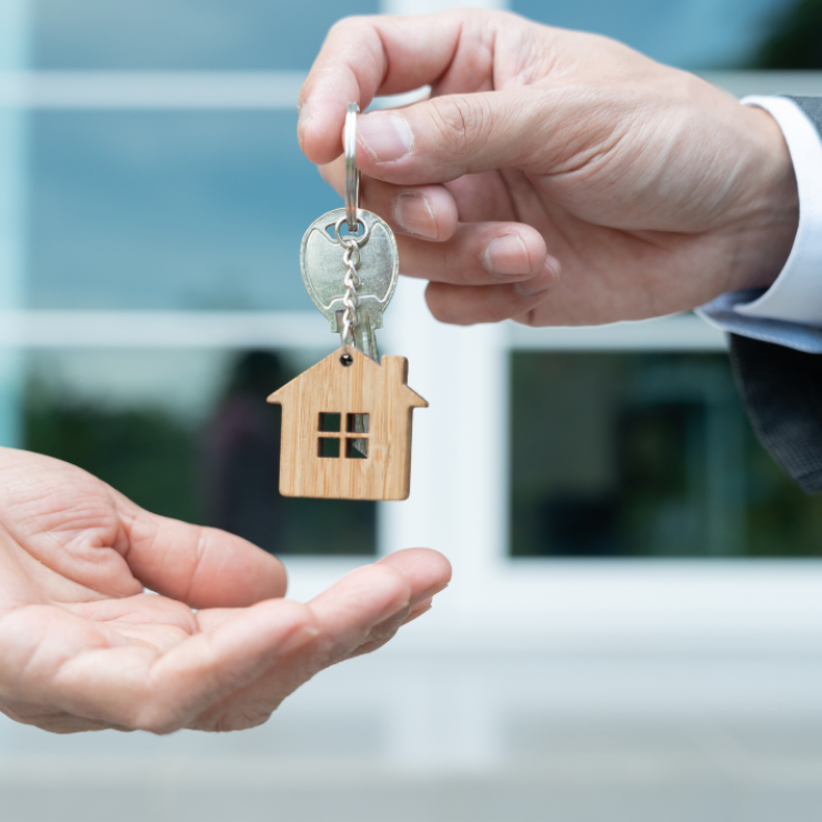 Návrh bez názvu (28)