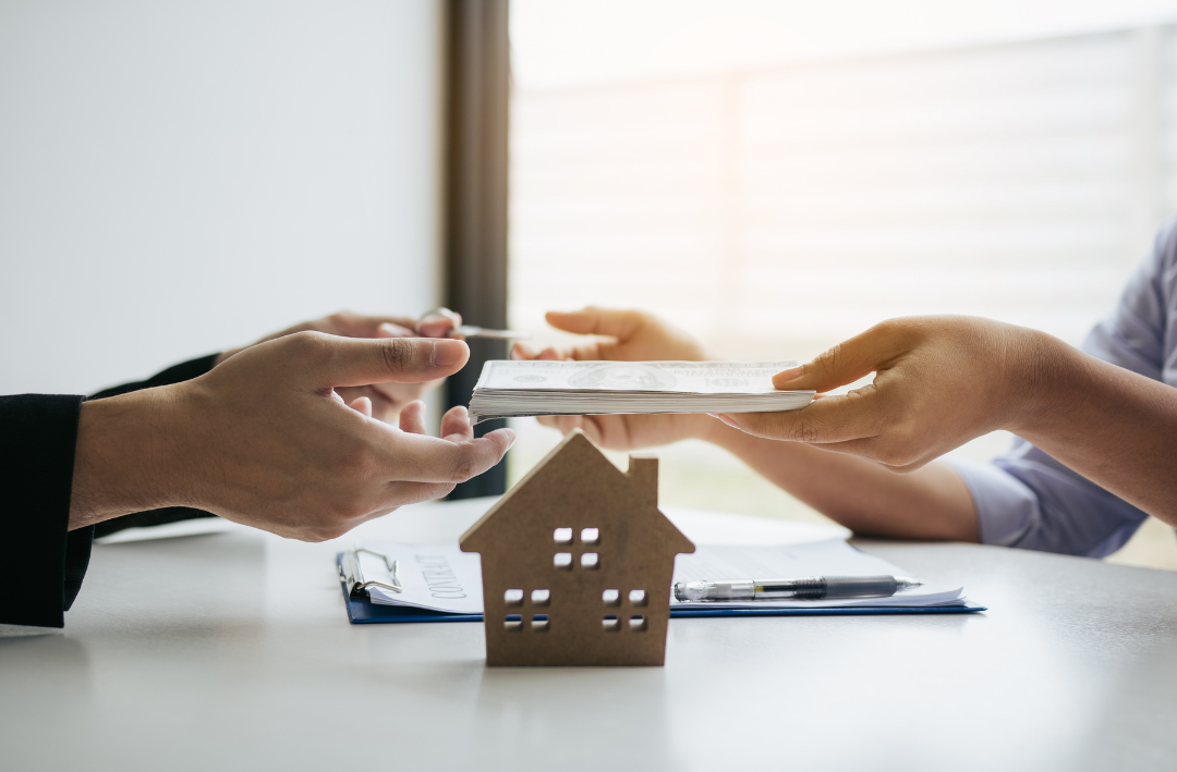 Návrh bez názvu (29)